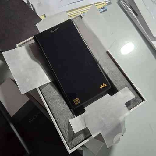 Sony NW-WM1AM2 - Lettore audio Walkman