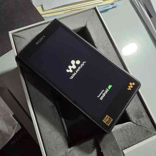 Sony NW-WM1AM2 - Lettore audio Walkman