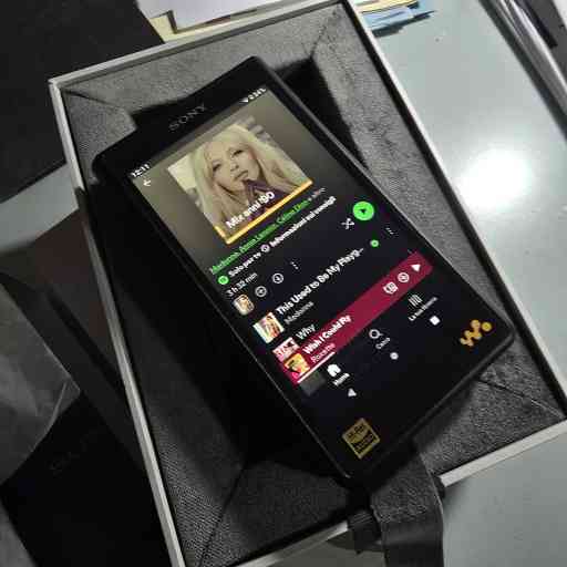 Sony NW-WM1AM2 - Lettore audio Walkman