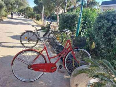 Bicicletta d'epoca Bottecchia