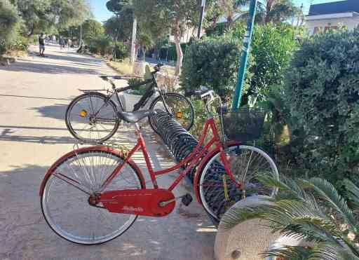 Bicicletta d'epoca Bottecchia