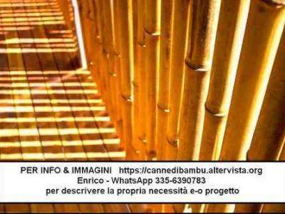 Canne di bambù bambu bamboo